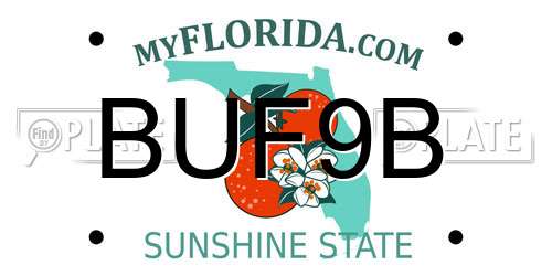 BUF9B Florida License Plate