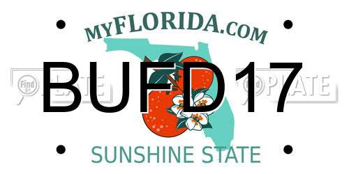 BUFD17 Florida License Plate