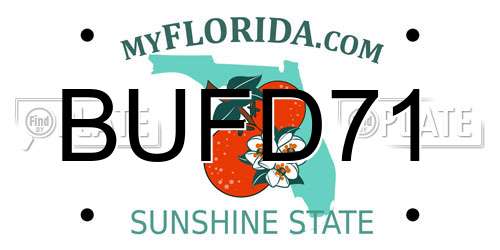 BUFD71 Florida License Plate