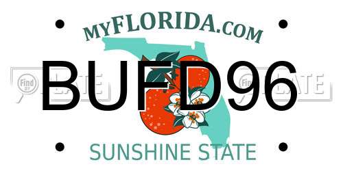 BUFD96 Florida License Plate