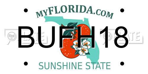 BUFH18 Florida License Plate
