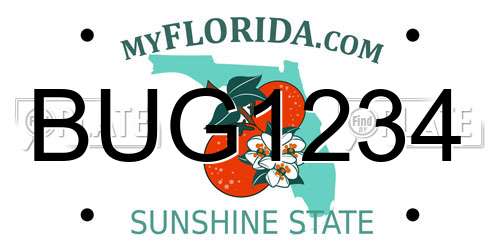 BUG1234 Florida License Plate