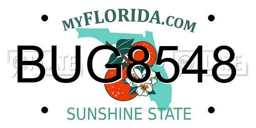 BUG8548 Florida License Plate