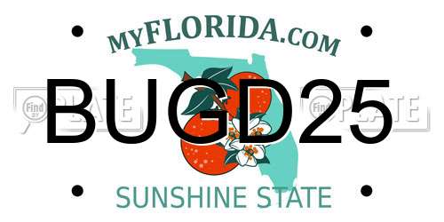 BUGD25 Florida License Plate