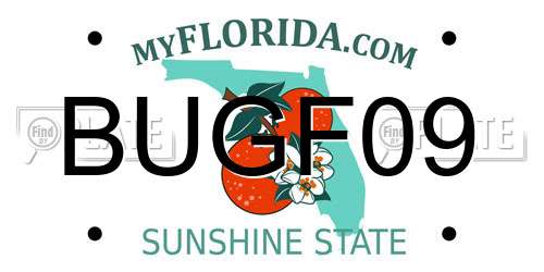 BUGF09 Florida License Plate