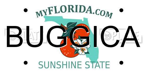 BUGGICA Florida License Plate