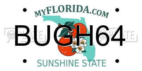 BUGH64 Florida License Plate