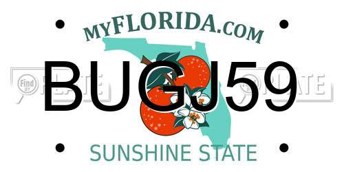 BUGJ59 Florida License Plate