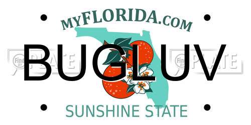 BUGLUV Florida License Plate
