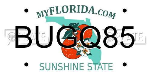 BUGQ85 Florida License Plate