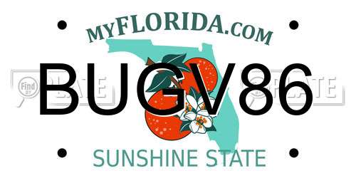 BUGV86 Florida License Plate