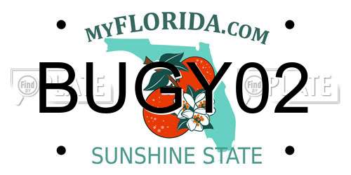BUGY02 Florida License Plate