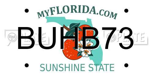 BUHB73 Florida License Plate
