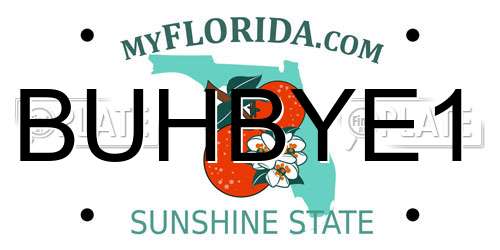 BUHBYE1 Florida License Plate