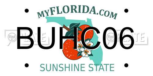 BUHC06 Florida License Plate