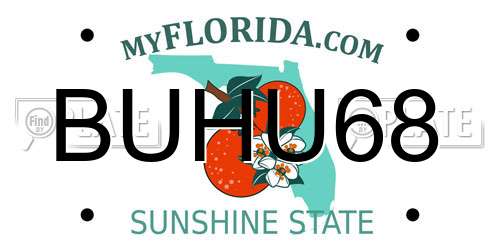 BUHU68 Florida License Plate