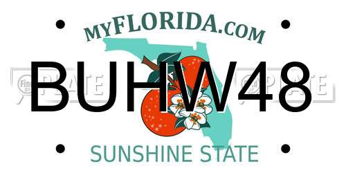 BUHW48 Florida License Plate