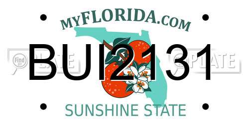 BUI2131 Florida License Plate