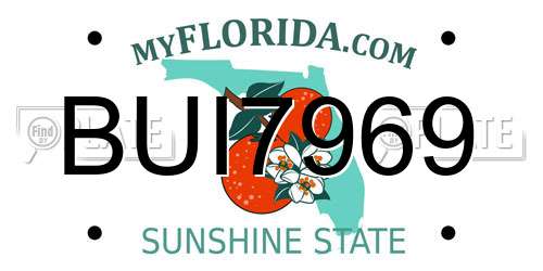 BUI7969 Florida License Plate