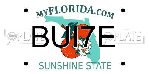 BUI7E Florida License Plate