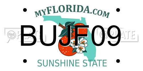 BUJF09 Florida License Plate