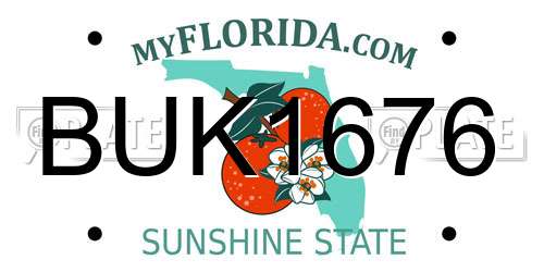 BUK1676 Florida License Plate