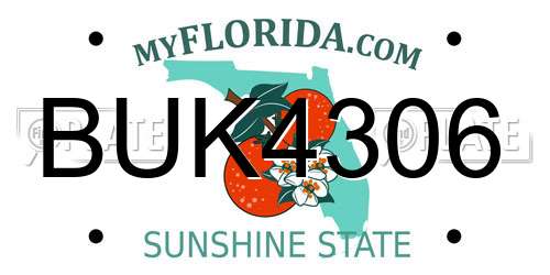 BUK4306 Florida License Plate