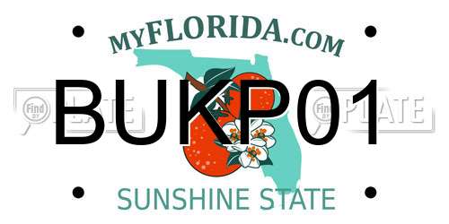 BUKP01 Florida License Plate