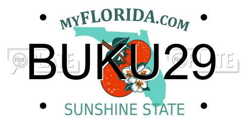 BUKU29 Florida License Plate