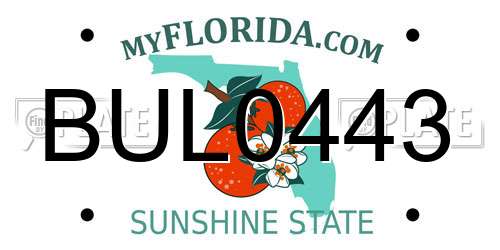 BUL0443 Florida License Plate