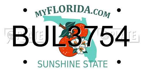 BUL3754 Florida License Plate
