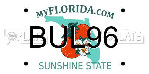 BUL96 Florida License Plate