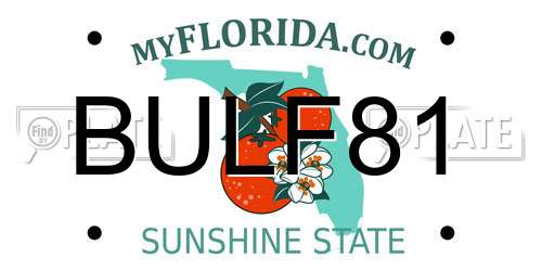 BULF81 Florida License Plate