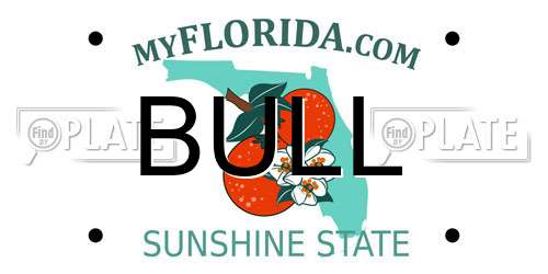 BULL Florida License Plate