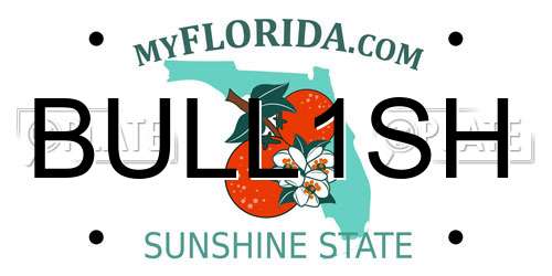 BULL1SH Florida License Plate