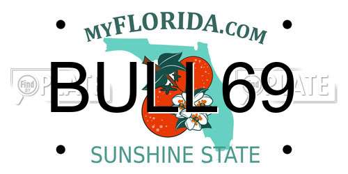BULL69 Florida License Plate