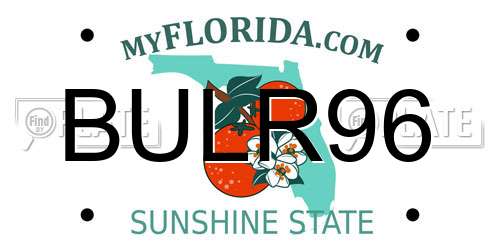 BULR96 Florida License Plate