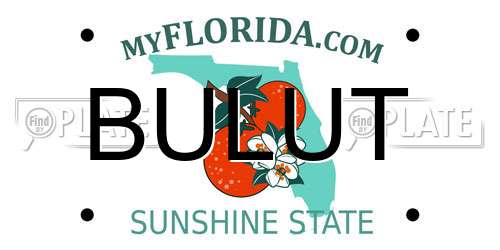 BULUT Florida License Plate