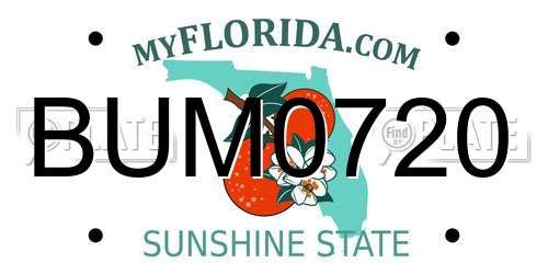 BUM0720 Florida License Plate