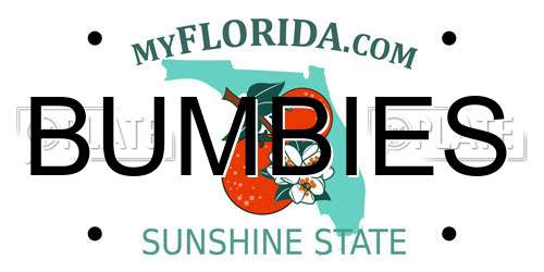 BUMBIES Florida License Plate