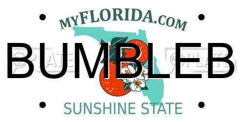 BUMBLEB Florida License Plate