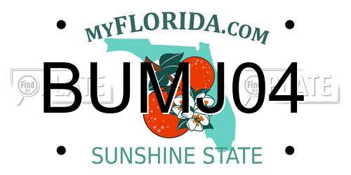 BUMJ04 Florida License Plate