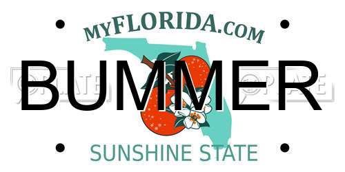 BUMMER Florida License Plate