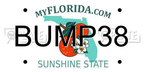 BUMP38 Florida License Plate