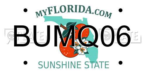 BUMQ06 Florida License Plate