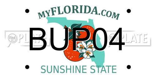 BUP04 Florida License Plate