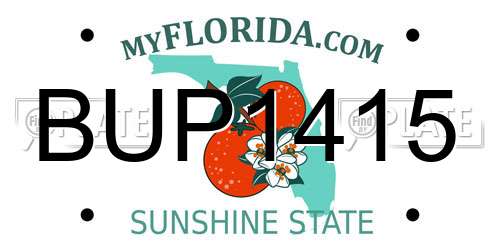 BUP1415 Florida License Plate