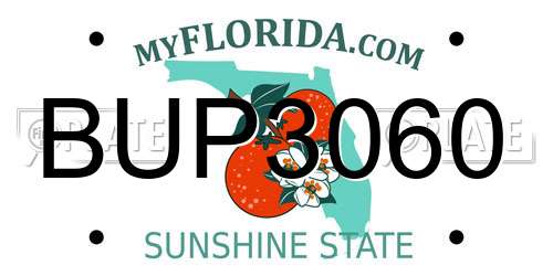 BUP3060 Florida License Plate