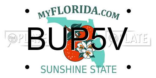 BUP5V Florida License Plate