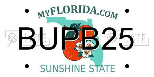 BUPB25 Florida License Plate